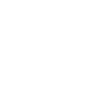 white logo